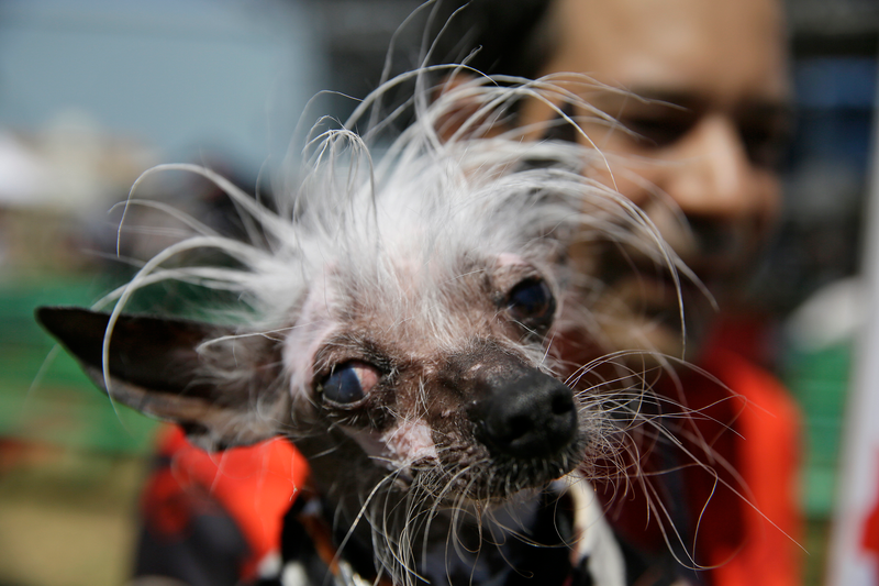 Eric Risberg/AP Images